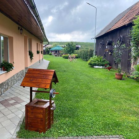 Pensiunea Denis Cîrţişoara Esterno foto