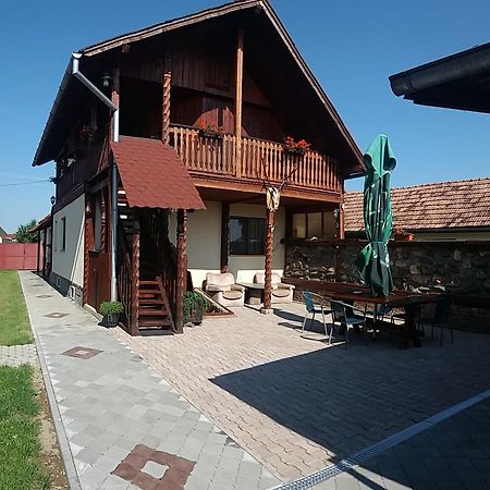 Pensiunea Denis Cîrţişoara Esterno foto