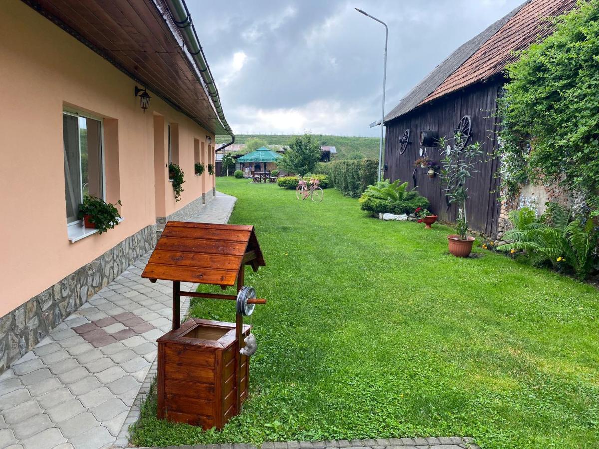 Pensiunea Denis Cîrţişoara Esterno foto