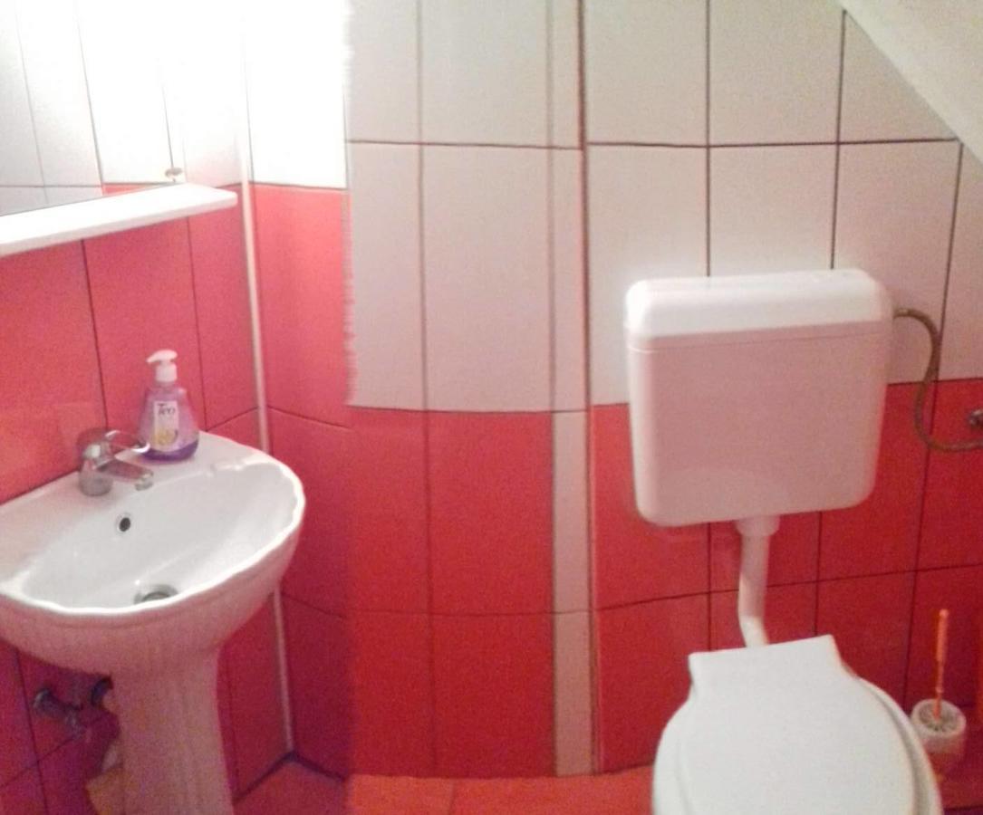 Pensiunea Denis Cîrţişoara Esterno foto
