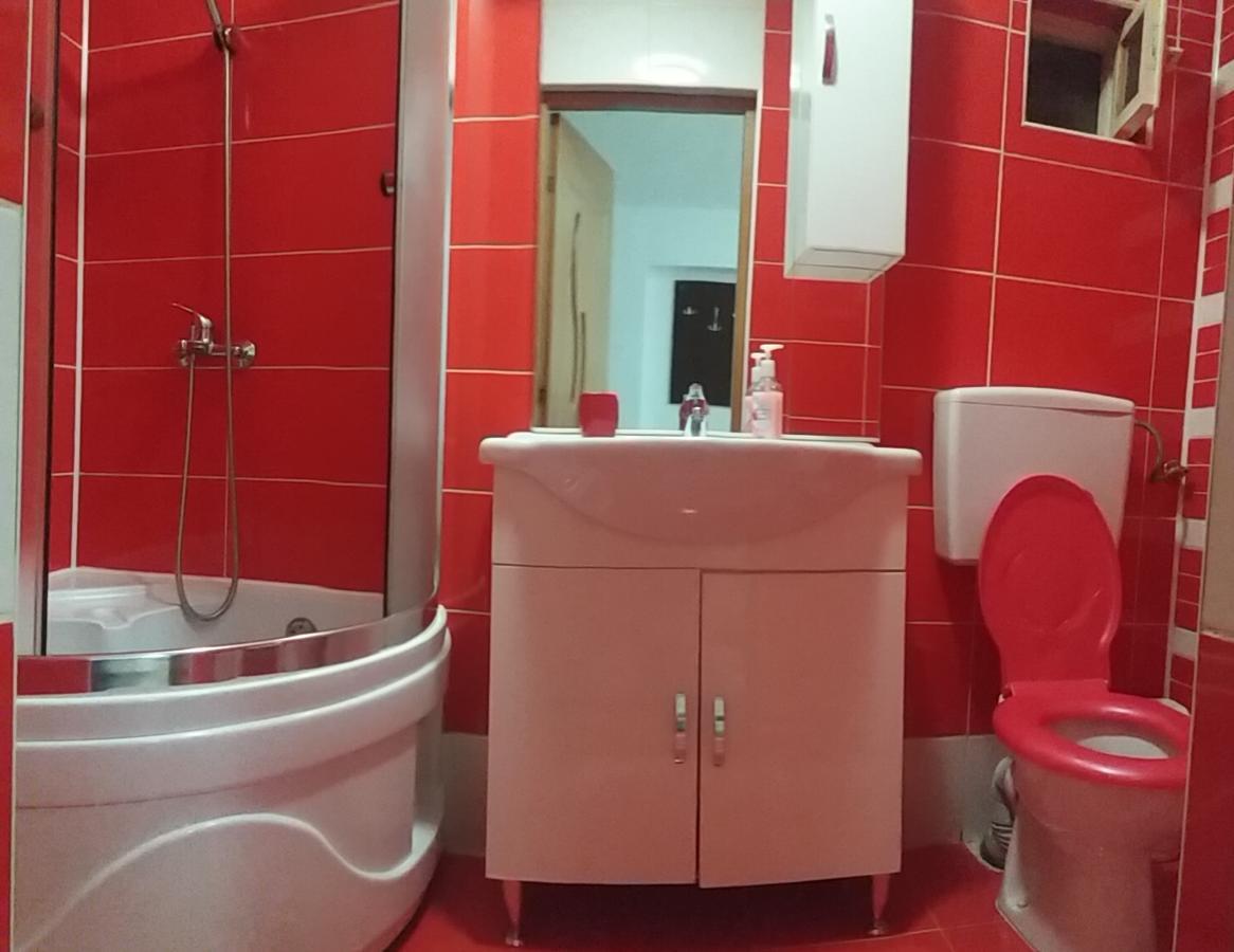 Pensiunea Denis Cîrţişoara Esterno foto