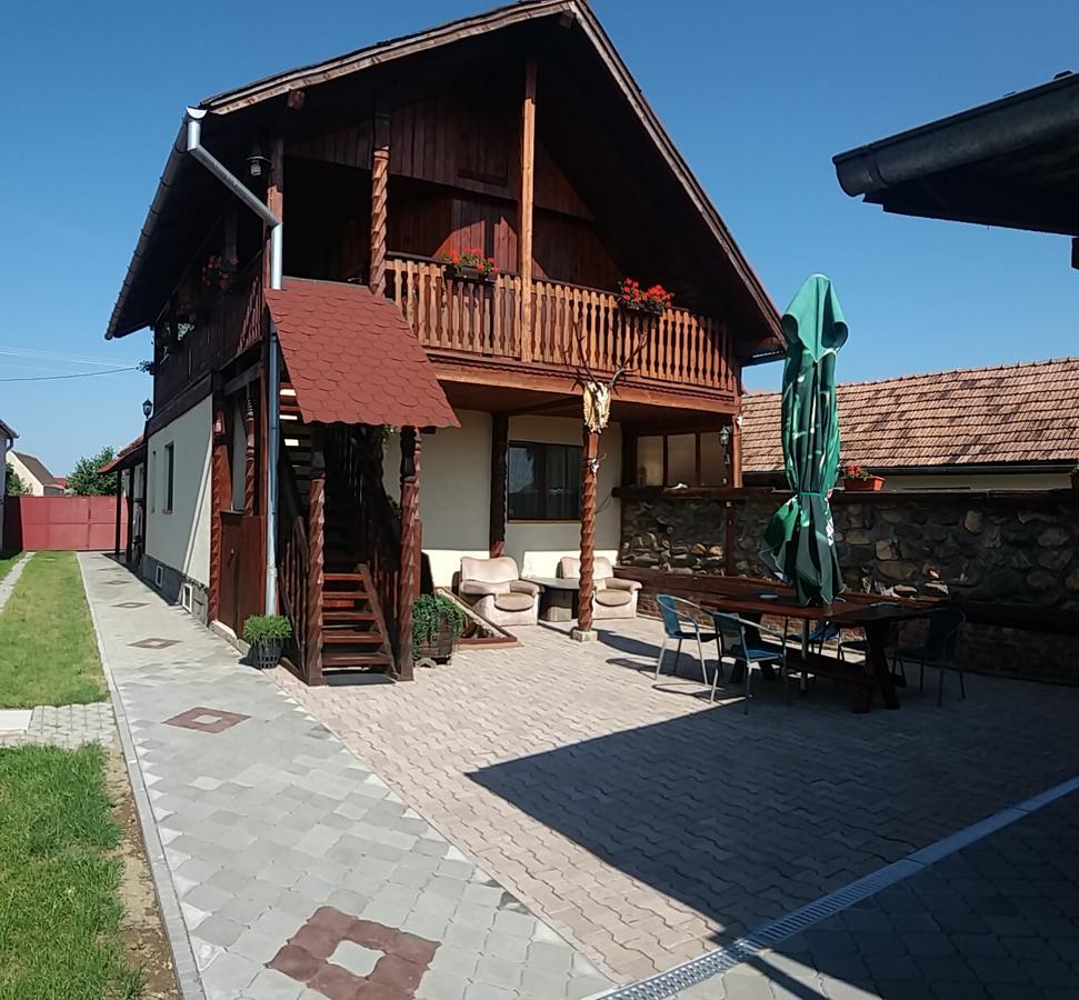 Pensiunea Denis Cîrţişoara Esterno foto