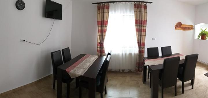 Pensiunea Denis Cîrţişoara Esterno foto