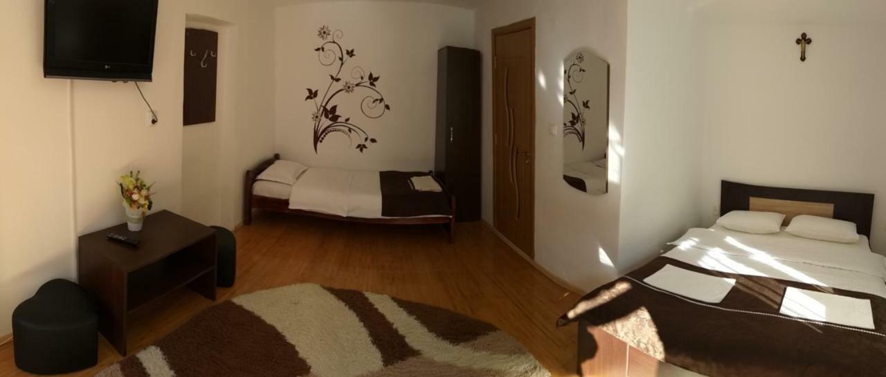 Pensiunea Denis Cîrţişoara Esterno foto